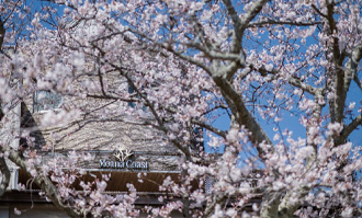 歓送迎会＆お花見プラン