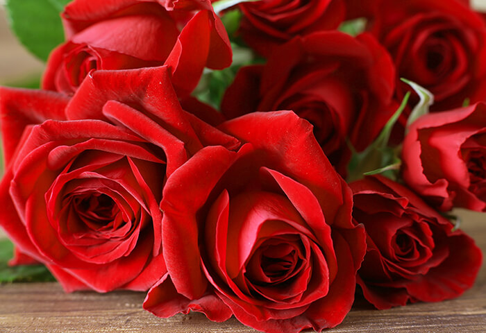 の赤いバラの花束